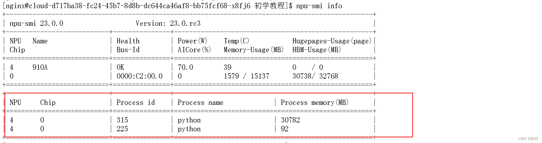 npu-smi info