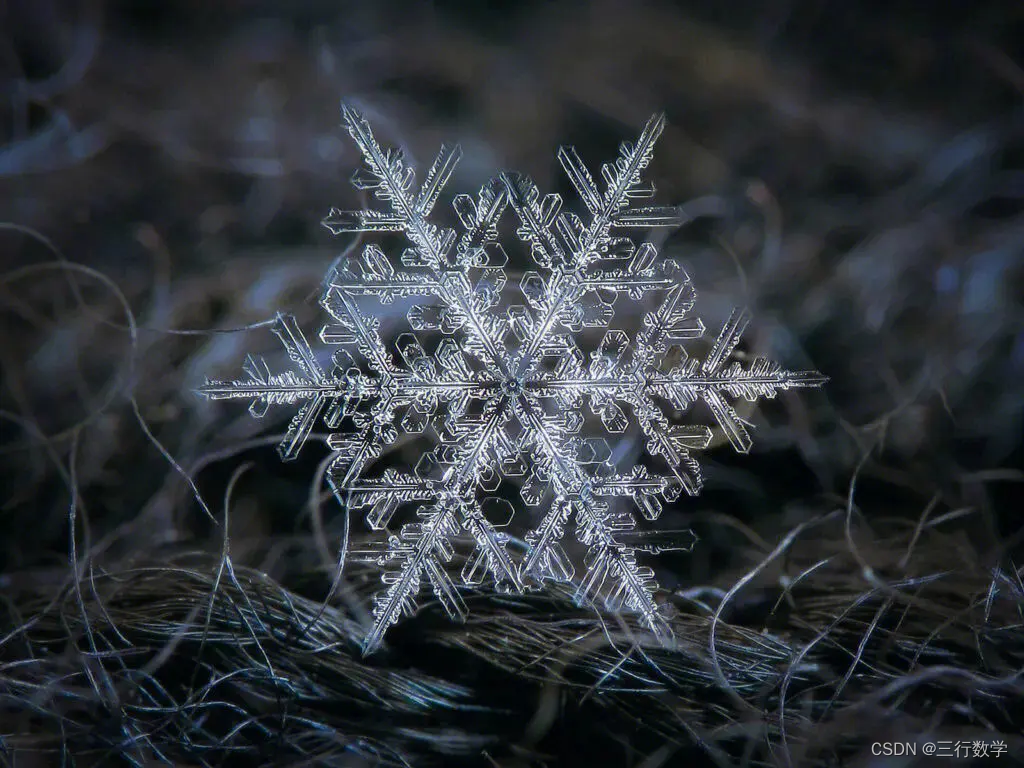 从雪花到分形几何