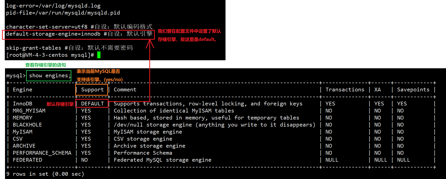 【ONE·MySQL || 基础介绍】