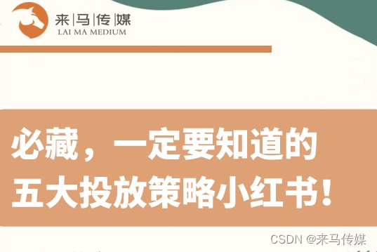 小红书投放策略分析，如何打造个性化内容？