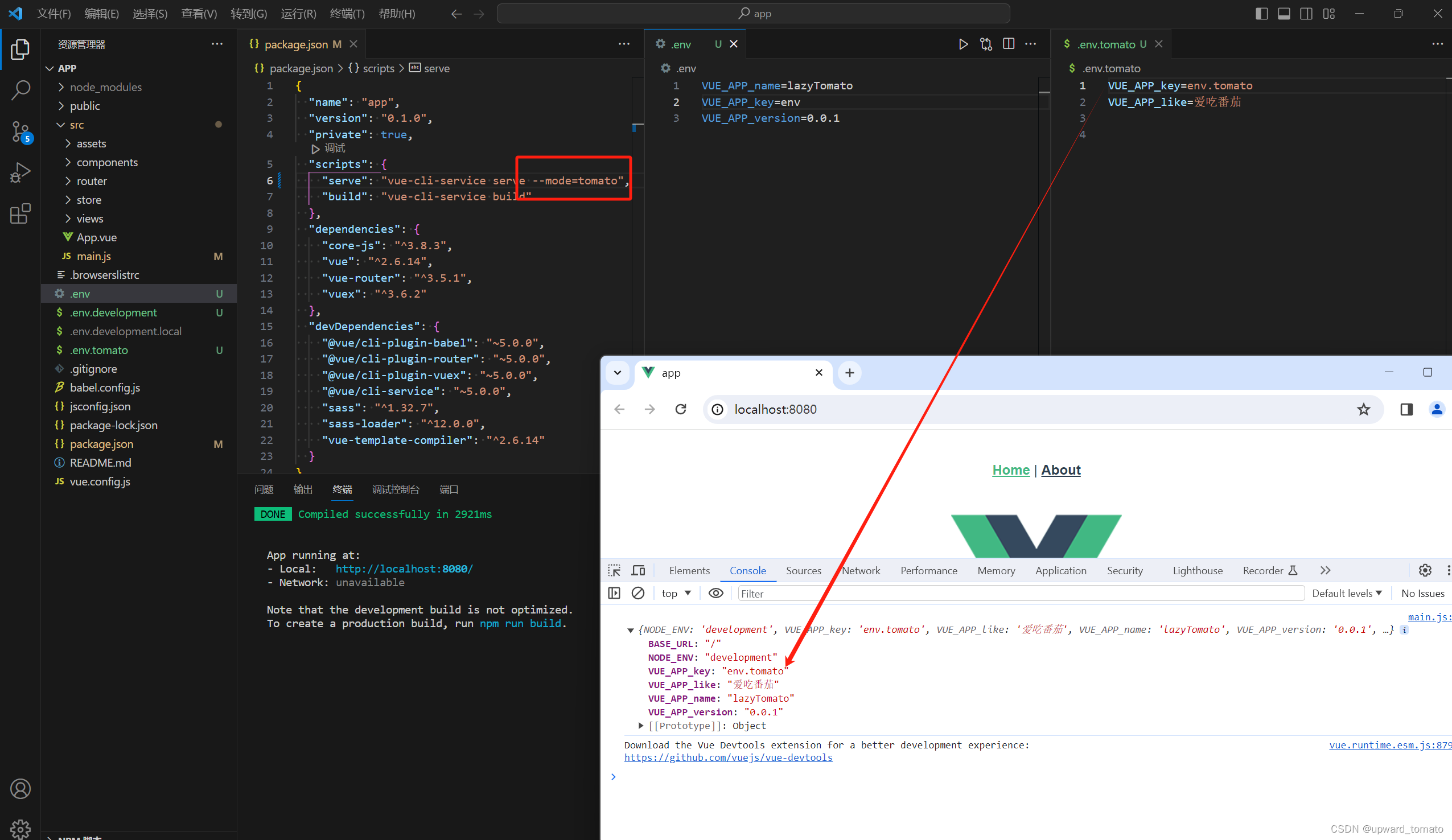 Vue中 env 文件是如何读取的？ 优先级？