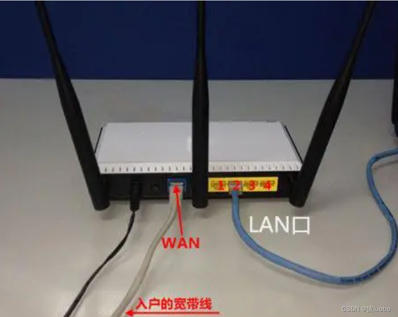 加粗样式