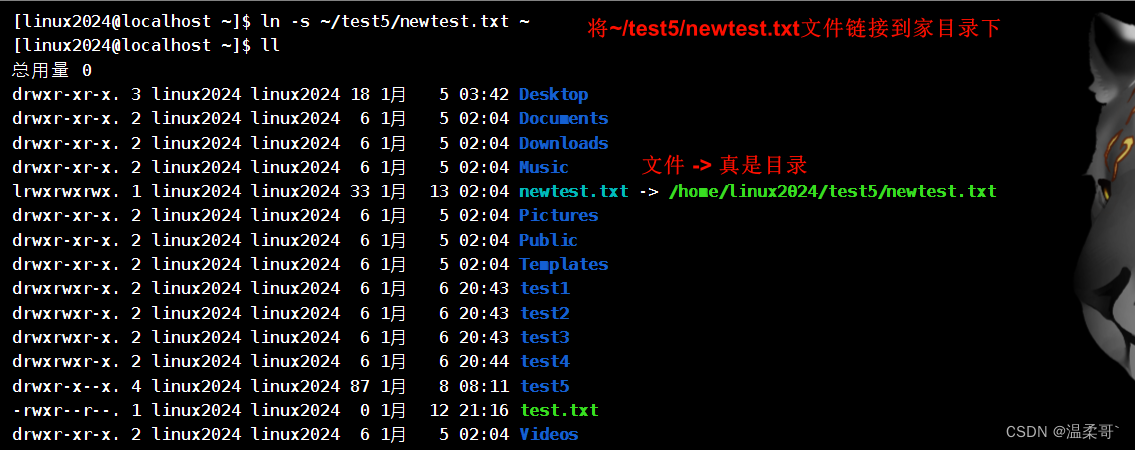 Linux系统中使用ln命令创建软连接