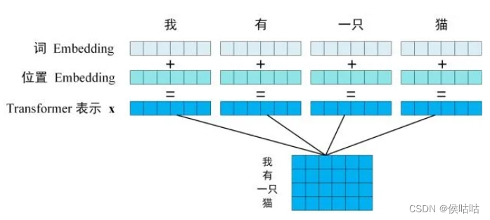 输入编码