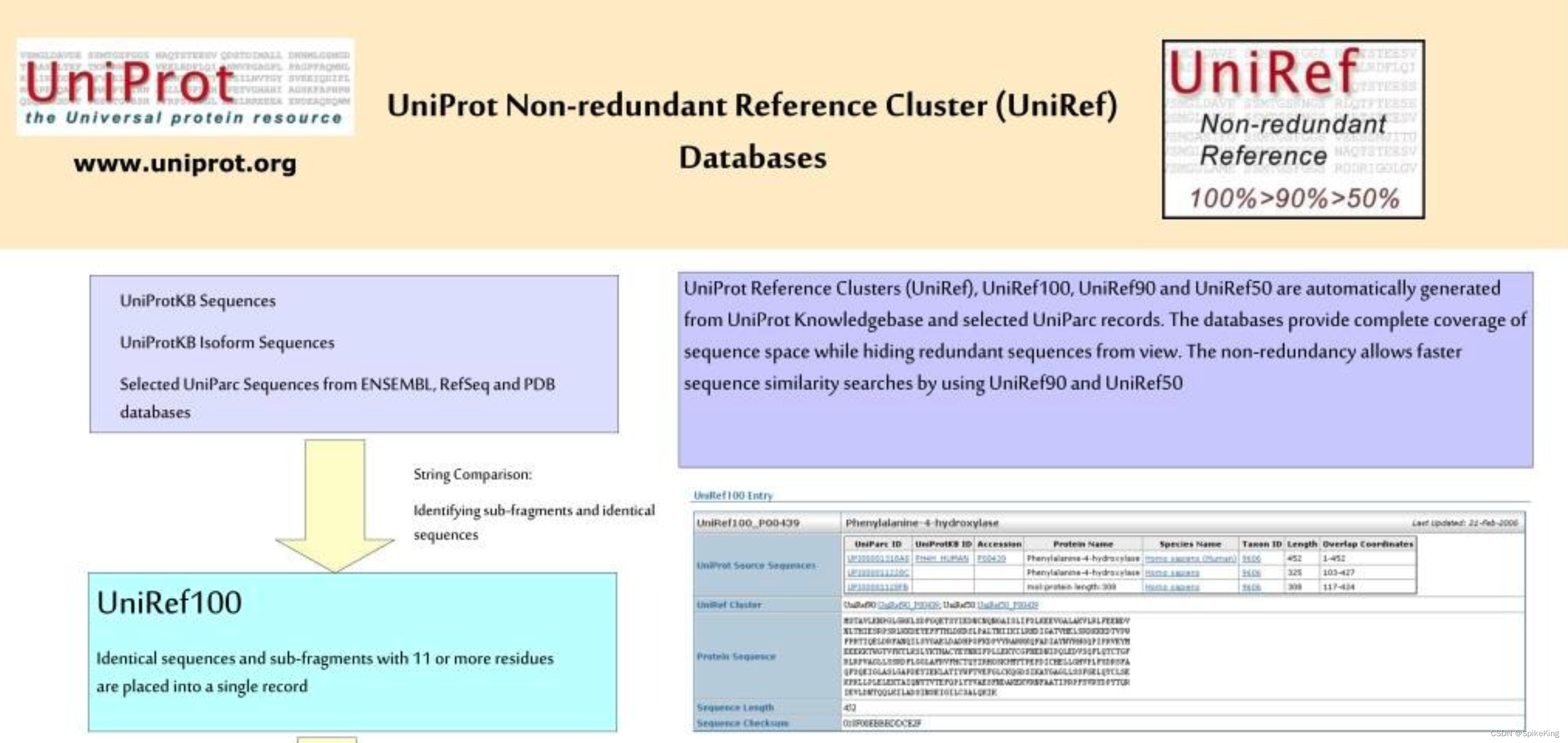 PSP - 提取 UniRef 数据库搜索的 MSA 序列物种 (Species) 信息