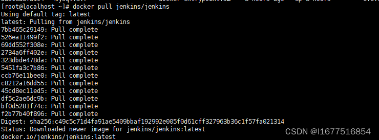 Docker安装Jenkins