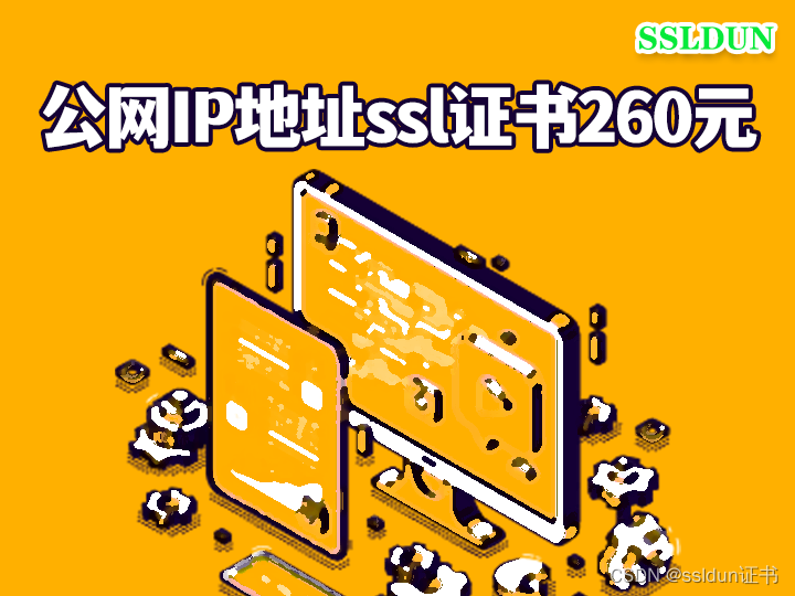 公网IP地址ssl证书260元