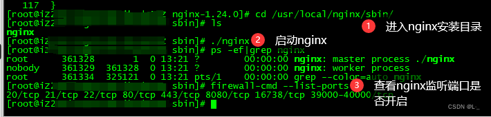 启动nginx