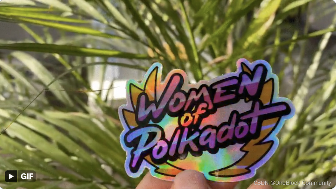 Women of Polkadot：波卡生态的女性社群与创新力量