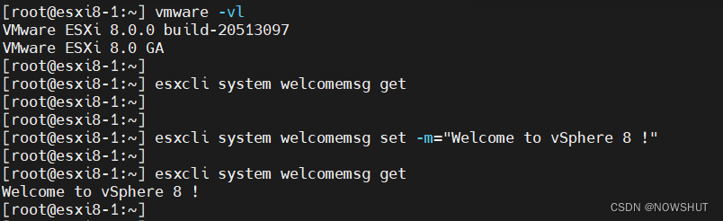 [ESXi 5/6/7/8]设置 ESXi DCUI 欢迎消息