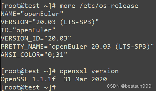 openEuler学习04-<span style='color:red;'>ssl</span><span style='color:red;'>升级</span>到openssl-1.1.1w