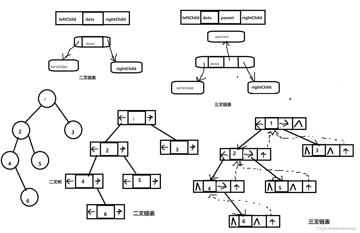 二叉树简介