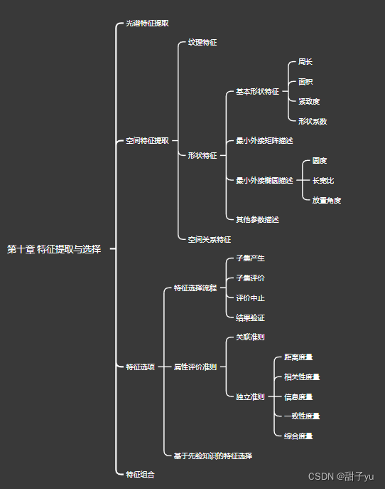 第十章 特征提取与选择