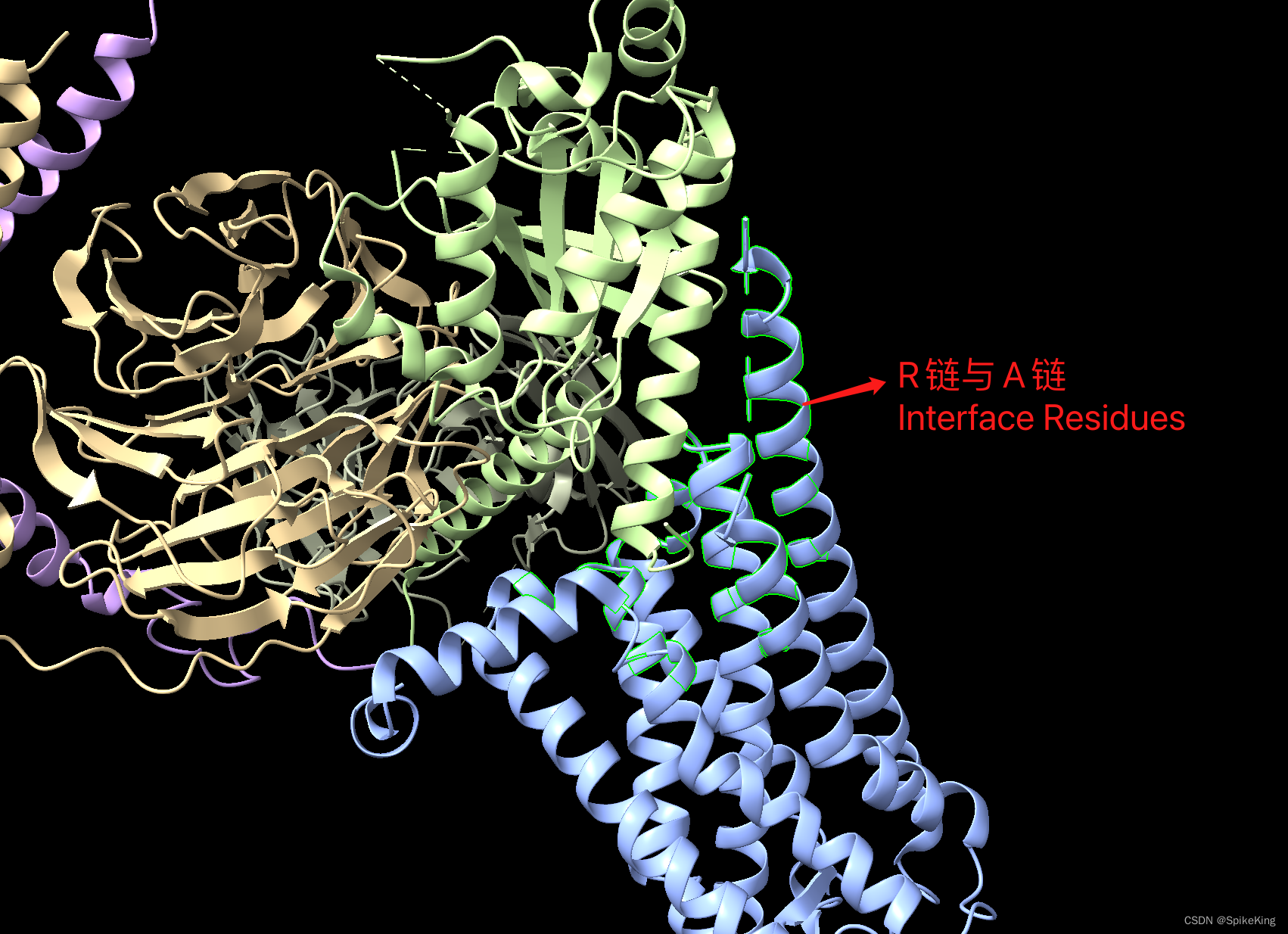 PSP - 计算蛋白质复合物链间接触的残基与面积