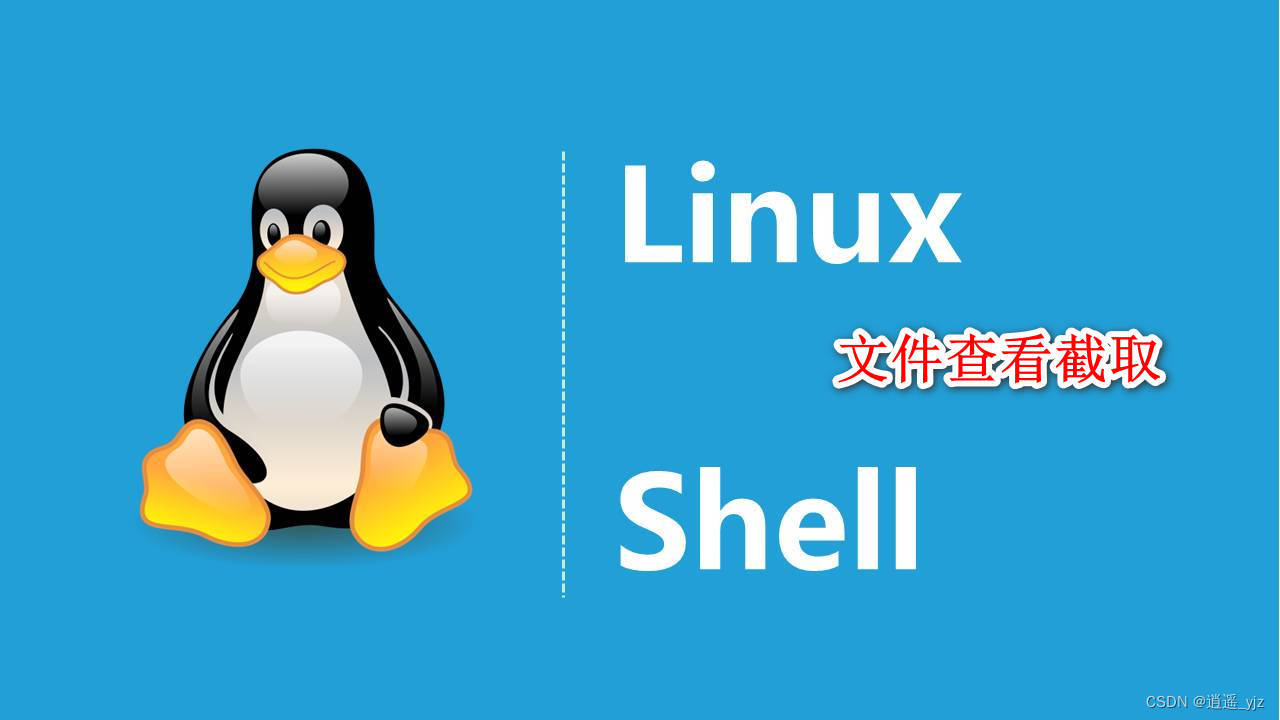 shell常用文件处理命令