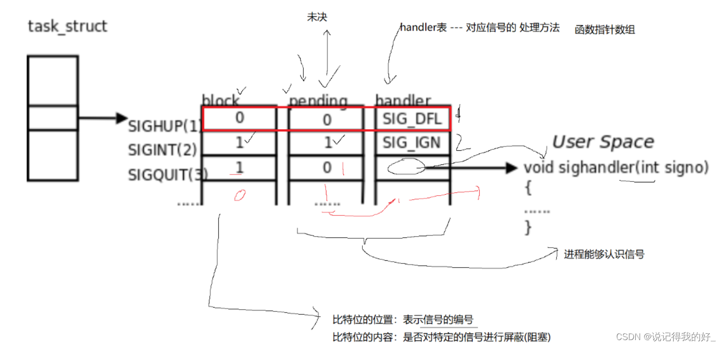 【Linux进程】信号