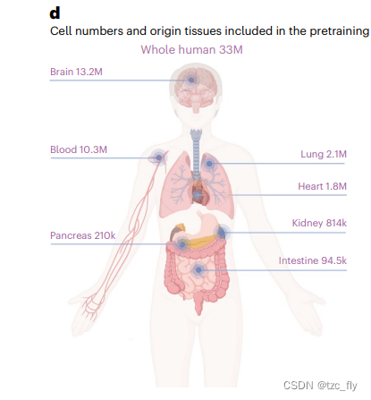 fig1d