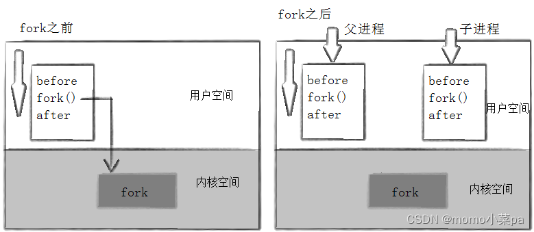 Linux--进程控制（1）