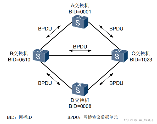 根桥的选择