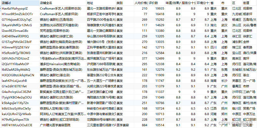 大众点评全国丽人POI采集225万家-2024年5月底