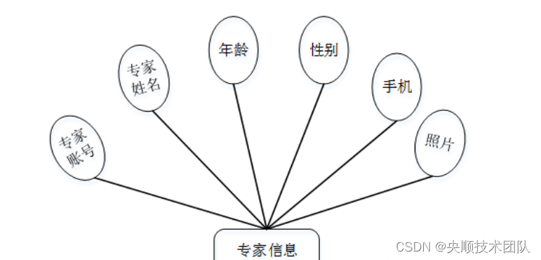 图3-4专家信息实体属性图