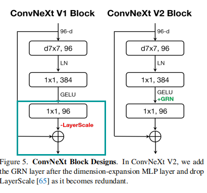 ConvNext详解