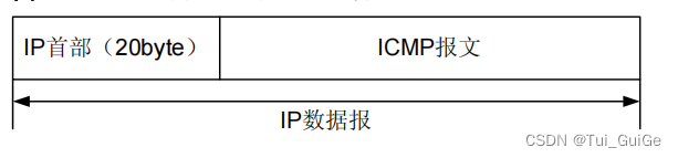 ICMP 封装在 IP 数据报内部