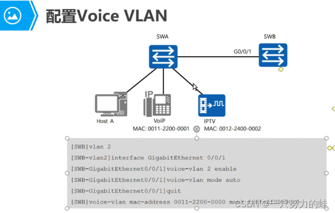 二、VLAN原理和配置