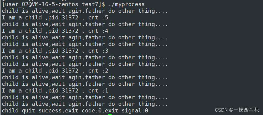 Linux：进程退出 与 进程等待wait，waitpid