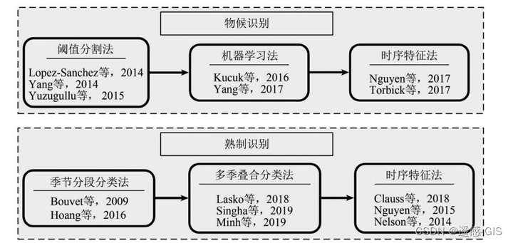 水稻叶蘖同伸关系图图片