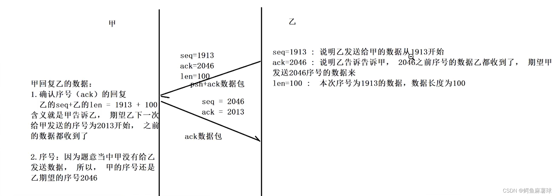 【C/C++笔试练习】DNS劫持、三次握手、TCP协议、HTTPS、四次挥手、HTTP报文、拥塞窗口、POP3协议、UDP协议、收件人列表、养兔子