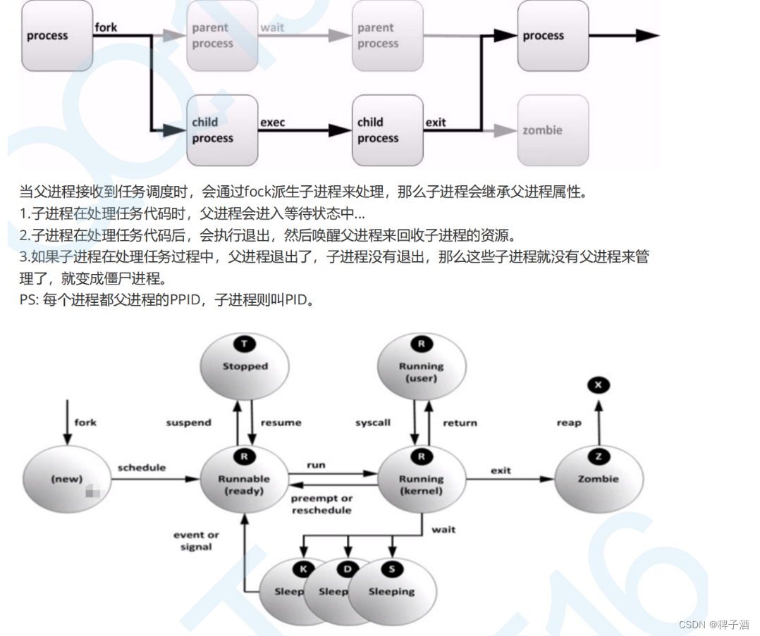 Linux基础命令—进程管理