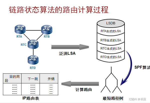 OSPF面试总结