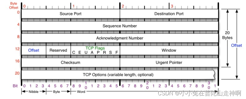 <span style='color:red;'>网络</span><span style='color:red;'>协议</span> - TCP <span style='color:red;'>协议</span>详解