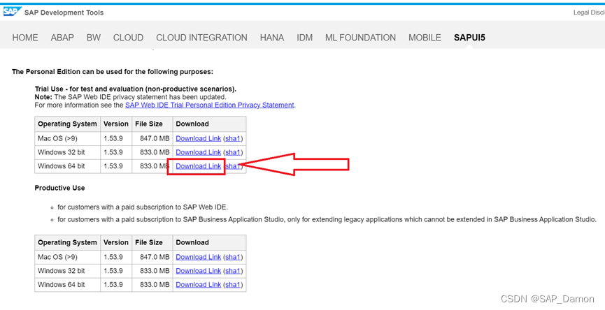 SAP Web IDE 安装使用