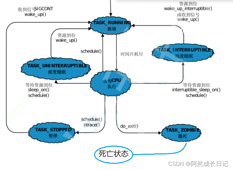 【Linux】为什么有僵尸状态，什么是僵尸进程，造成危害以及如何避免“内存泄漏”问题详解