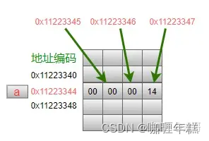 在这里插入图片描述