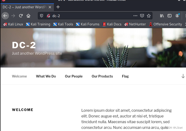 描靶机发现开启了http服务首先更改靶机的域名为dc-2访问web 发现cms是wordpress
