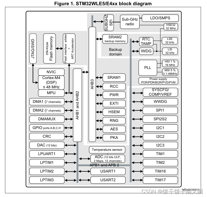 STM32WLE5JC