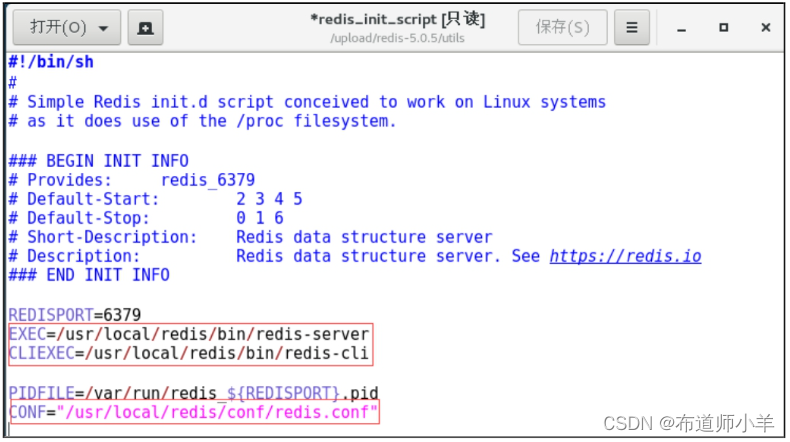 Redis——高级主题