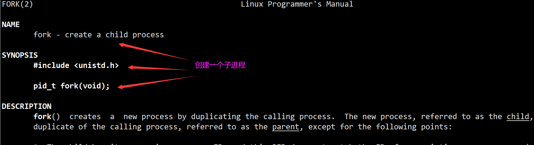 <span style='color:red;'>Linux</span>之<span style='color:red;'>进程</span>控制&&<span style='color:red;'>进程</span><span style='color:red;'>终止</span>&&<span style='color:red;'>进程</span>等待&&<span style='color:red;'>进程</span><span style='color:red;'>的</span><span style='color:red;'>程序</span>替换&&替换函数&&实现简易shell