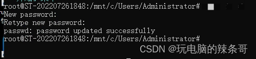 WSL里的Ubuntu 登录密码忘了怎么更改