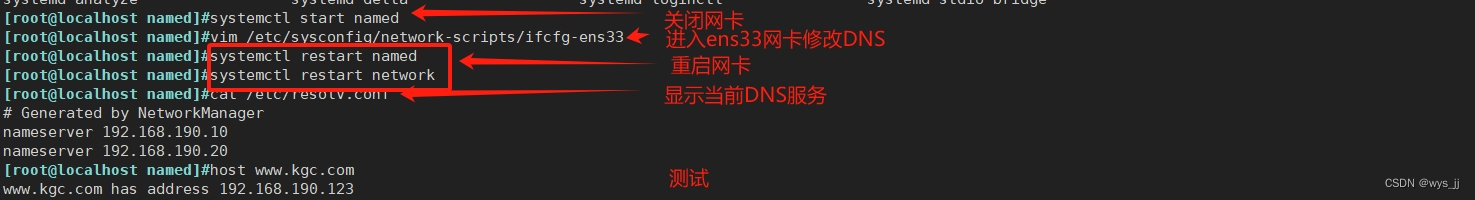 DNS