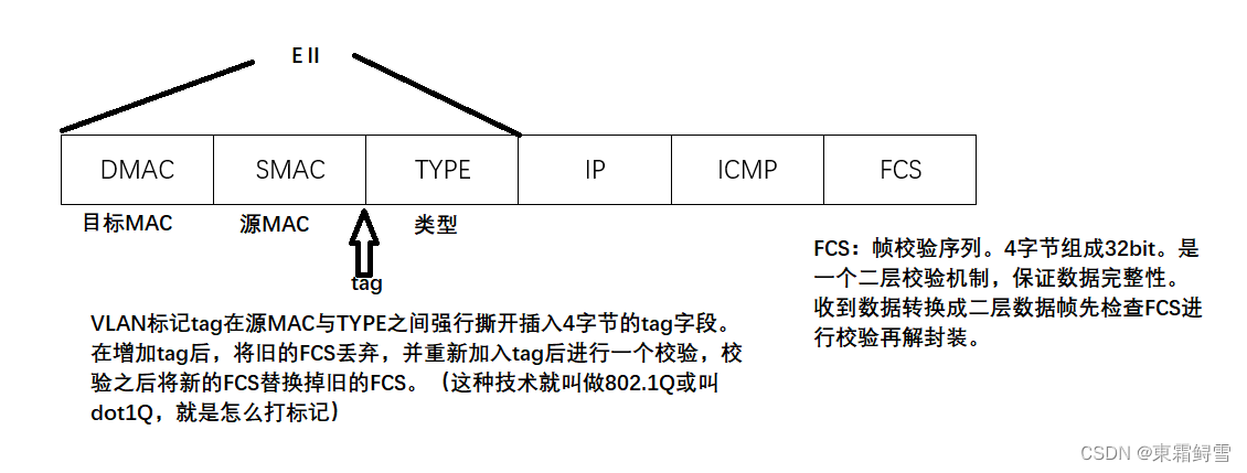 网络安全之交换基础