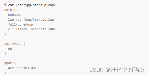 VPP学习-startup.conf配置文件