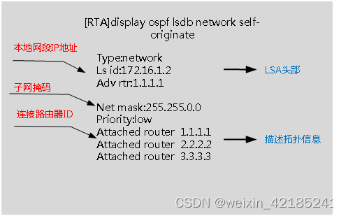 Network LSA 结构简述