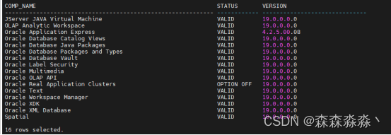 oracle12c到19c adg搭建（五）dg搭建后进行切换19c进行数据字典升级