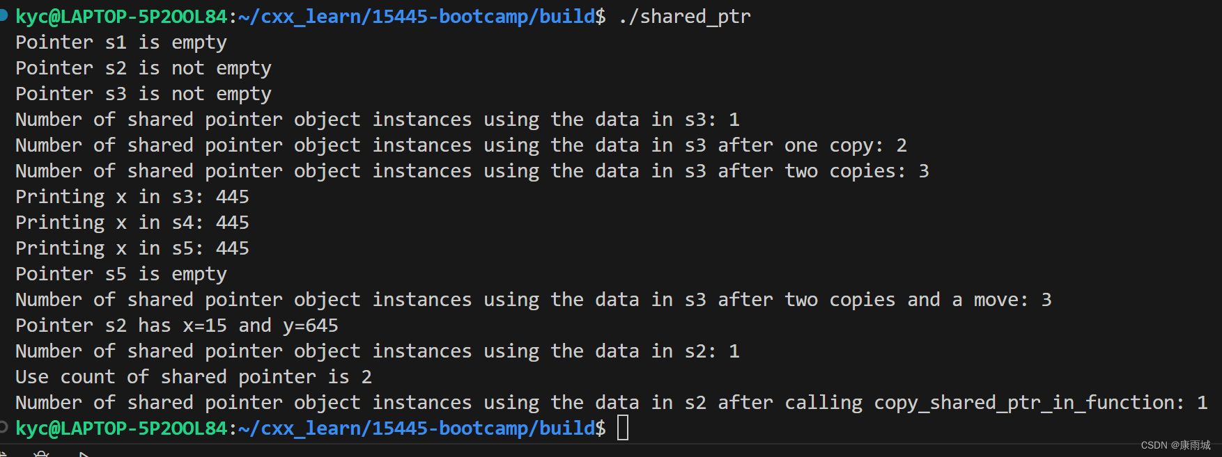 【cmu15445c++入门】(9)C++ 智能指针shared_ptr