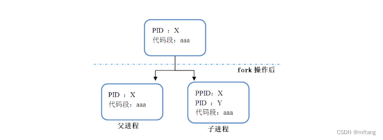 Linux进程API接口功能介绍和使用方法